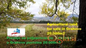 Prodaje se poljoprivredno  zemljiste u Grahovu povrsine 20.000m2